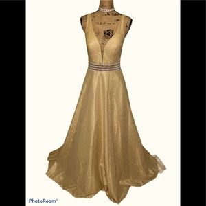 CINDERELLA DIVINE Gown size 12